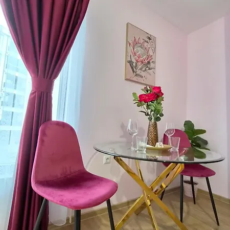 Daire Velvet Rose *